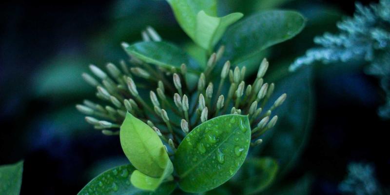 5G基站天线馈线接头：连接技术与电缆附件如何守护高频信号完整性与户外防护