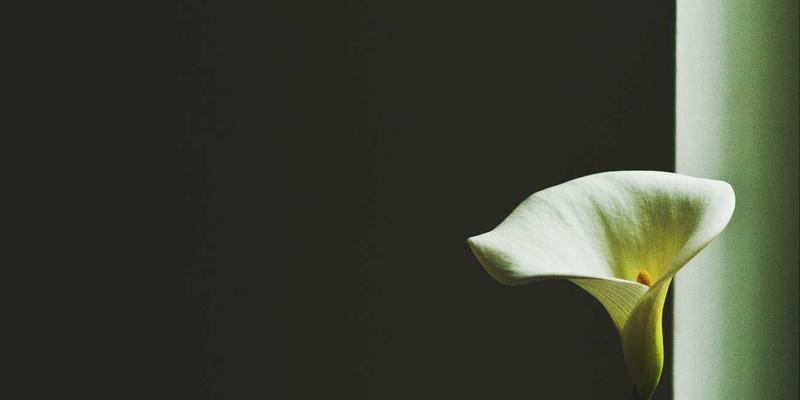 5G基站天线馈线接头防水与信号优化：端子与电缆附件的关键技术解析