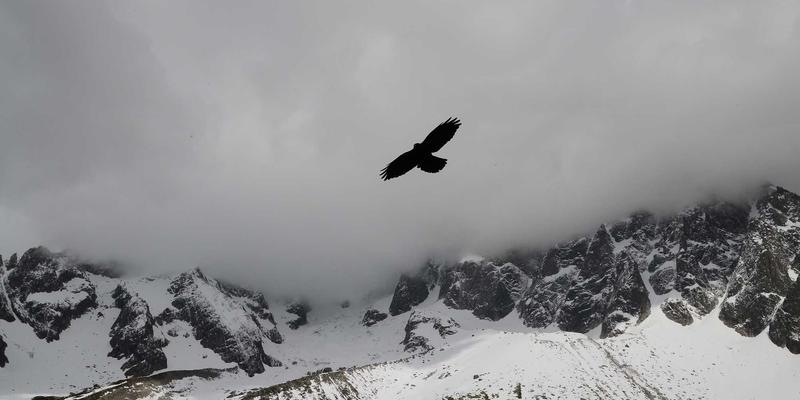 模块化预制线缆接头：数据中心快速部署的端子与电线接头革命
