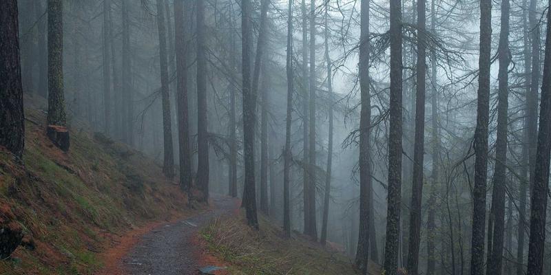 电线接头11：电缆连接器与端子的核心技术解析