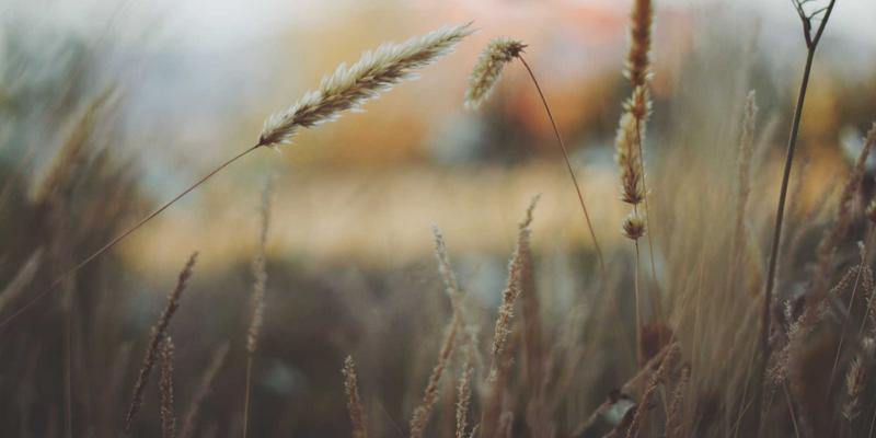 电线接头68:连接技术与接线端子的核心解析