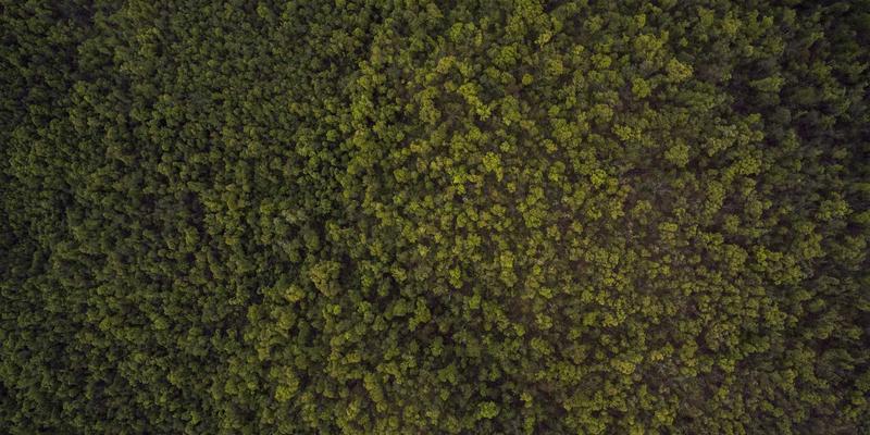 电线接头、电缆连接器与接线端子:电气连接的三大核心组件详解