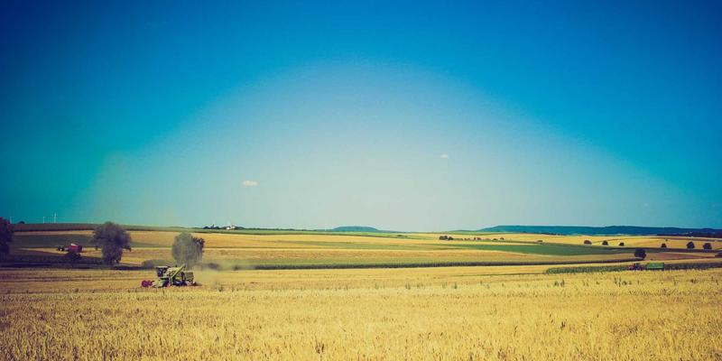 端子、接线端子与电缆连接器:电线接头的核心应用与选型指南