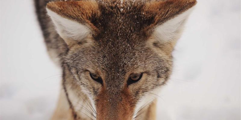 连接技术深度解析：新能源汽车高压线束接头的防水防尘与热管理如何守护电气安全